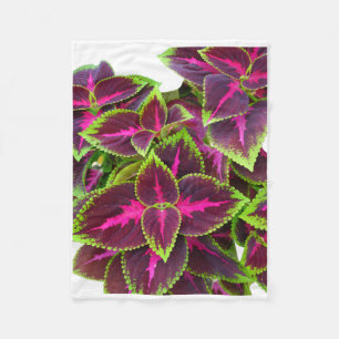 ADOM Purple Coleus Leaves Blanket