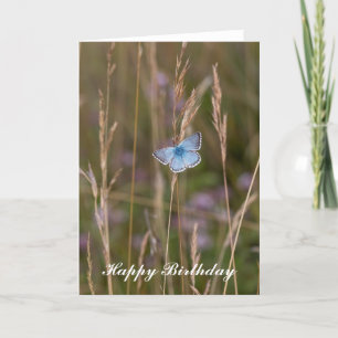 Adonis Blue Butterflies - Birthday Greeting Card