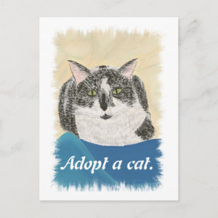 Adopt a cat adoption promotion postcards