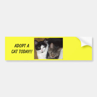 Adopt A Cat Bumper Sticker