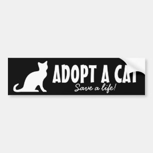 Adopt a cat bumper sticker   Animal welfare