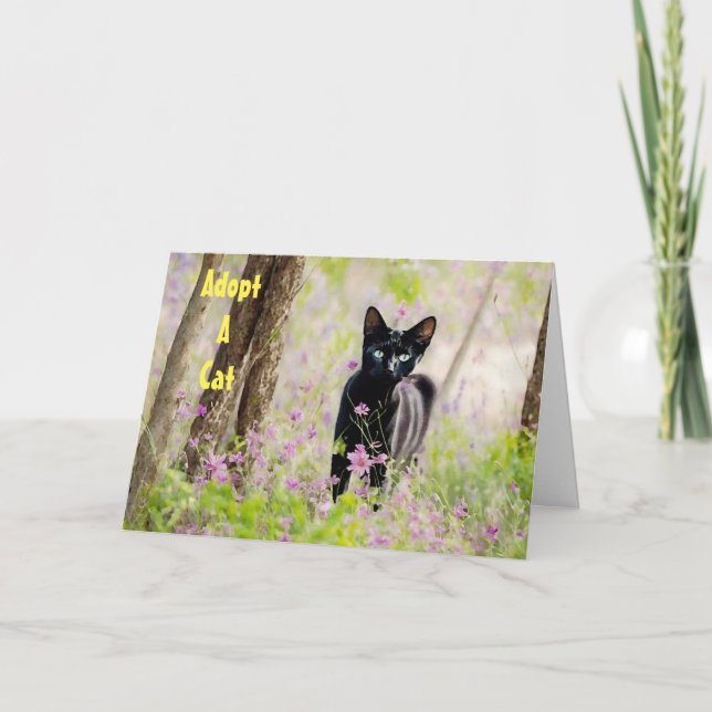 Adopt a Cat Shelter Animal Feral Cat PSA Card (Front)