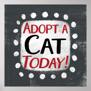 Adopt A Cat Today Poster Wall Art
