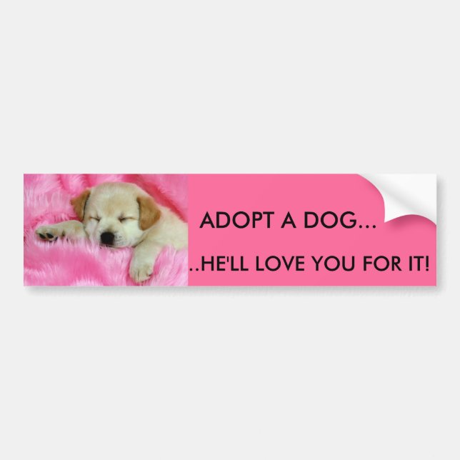 ADOPT A DOG BUMPER STICKER - Customized (Front)