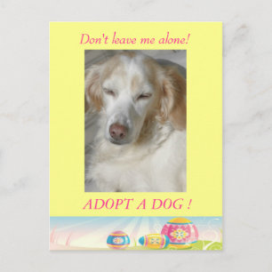 Adopt a Dog Easter Postcard