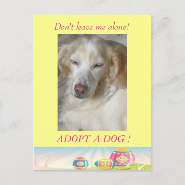Adopt a Dog  Easter Postcard (Front)