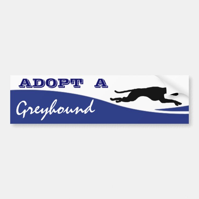 Adopt a Greyhound Dog Bumper Sticker (Front)