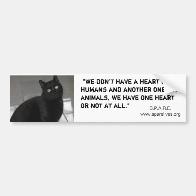 Adopt a Pet Bumper Sticker (Front)