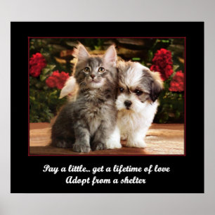 Adopt A Pet Poster
