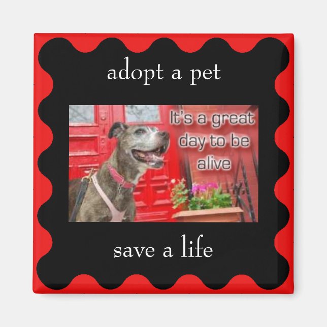 adopt a pet, save a life magnet (Front)
