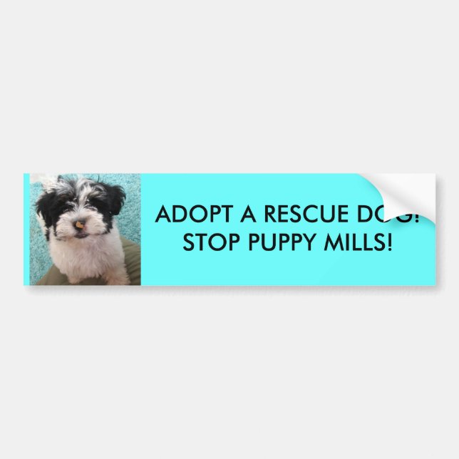 ADOPT A RESCUE DOG!STOP PUPPY MILLS! BUMPER STICKER (Front)