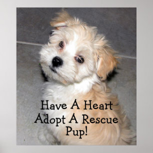 Adopt A Rescue Pup! Poster