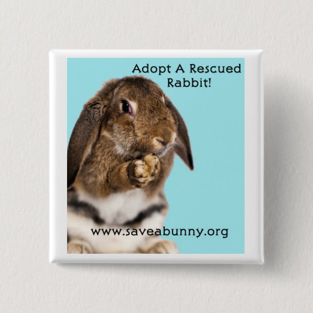 Adopt A Rescued Rabbit! 2 Inch Square Button (Front)