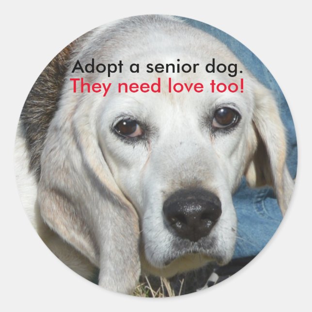 Adopt a senior dog. They need love too! Classic Round Sticker (Front)