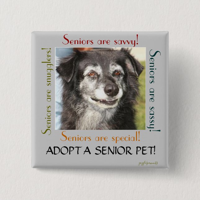 Adopt a Senior Pet 2 Inch Square Button (Front)