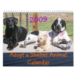 Adopt a Shelter Animal Calendar