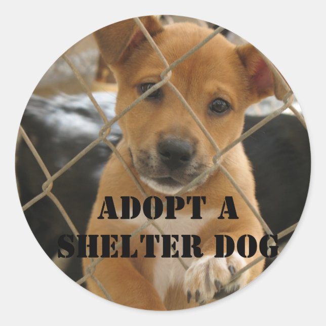 ADOPT A SHELTER DOG CLASSIC ROUND STICKER (Front)