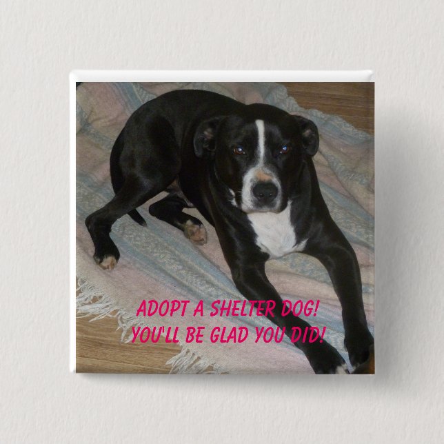 Adopt a Shelter Dog Today! 2 Inch Square Button (Front)
