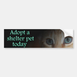 Adopt a shelter pet bumper sticker