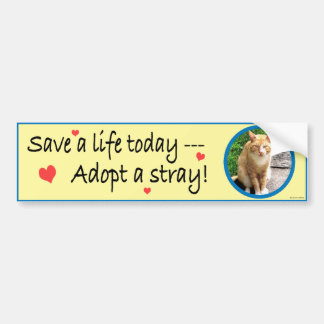 Adopt A Stray #2 Bumper Sticker