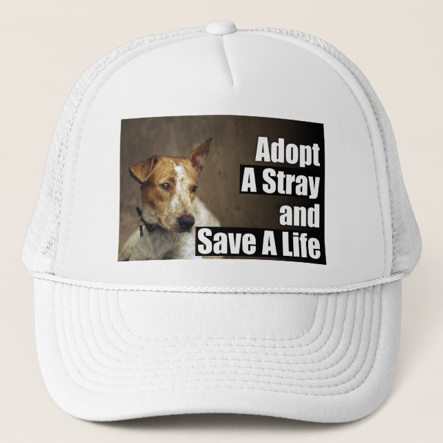 Adopt A Stray Hat (Front)