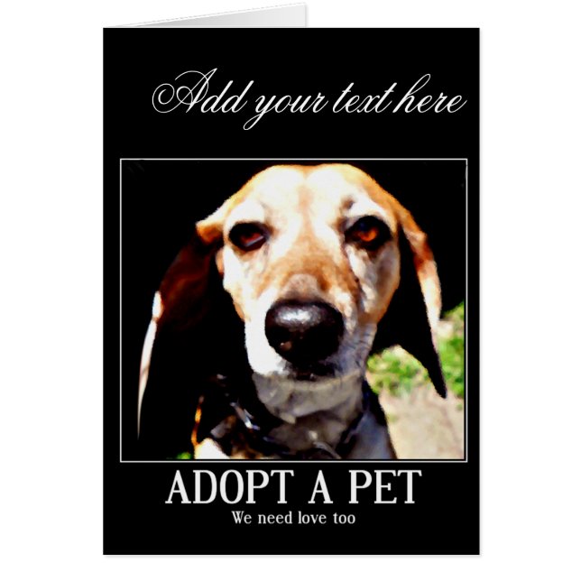 Adopt apet,We need love too_ (Front)