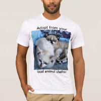 Adopt from your local animal shelter