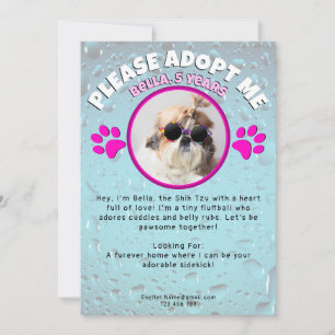 Adopt me dog custom 2 photo shelter animal rescue invitation