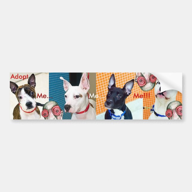 Adopt Me... Me... Me!!! Bumper Sticker (Front)