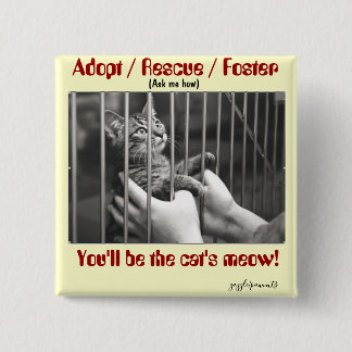 Adopt, Rescue, Foster 2 Inch Square Button