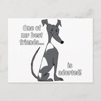 Adopted~BlackandWhite Postcard