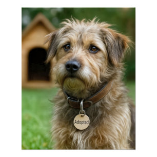 Adopted Scruffy Dog With Dog House Poster