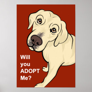 Adopter une affiche de chien