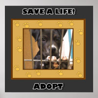 Adopter une affiche pour chiot