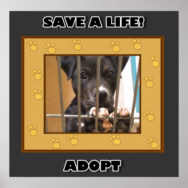 Adopter une affiche pour chiot (Devant)