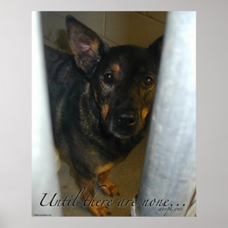 Adoptez-en un ! Affiche