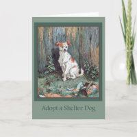 Adoptez une carte de chien d'abri