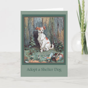 Adoptez une carte de chien d'abri