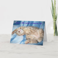 Adoptez une carte de voeux de chat de délivrance