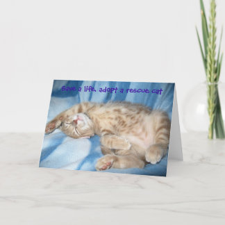 Adoptez une carte de voeux de chat de délivrance