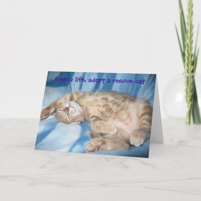 Adoptez une carte de voeux de chat de délivrance (Devant)