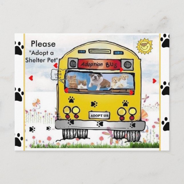 Adoption Bus for Cat's & Dog's Postcard (Front)
