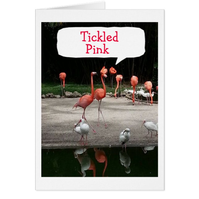 **ADOPTION" LES FLAMANTS ROSES SONT "BILLARD" (Devant)