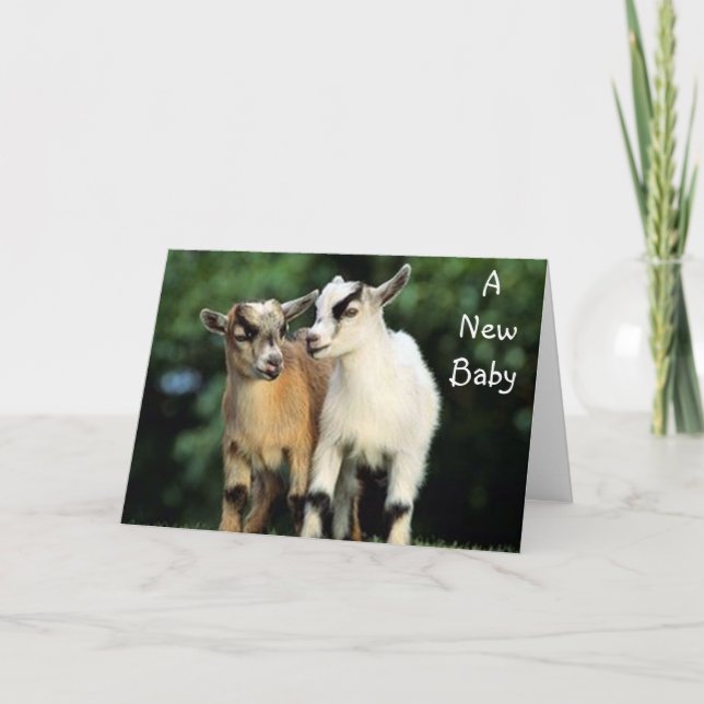 ADOPTION - NO KIDDING CONGRATULATIONS! CARD (Front)