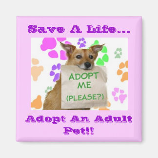 Adoptme, Save A Life..., Adopt An Adult Pet!! Magnet