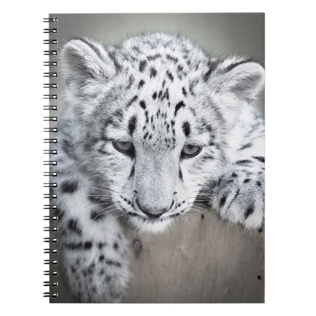 Adorabe Carnet Léopard de neige (Devant)
