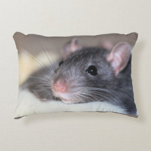 Adorable Accent Pillow