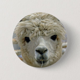 Adorable Alpaca 2 Inch Round Button