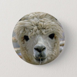 Adorable Alpaca 2 Inch Round Button