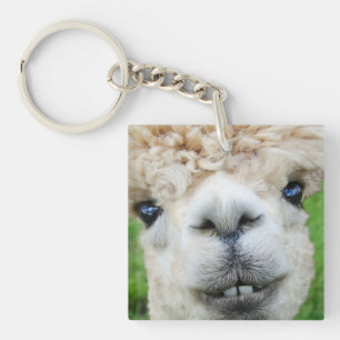 Adorable Alpaca Photo Acrylic Keychain
